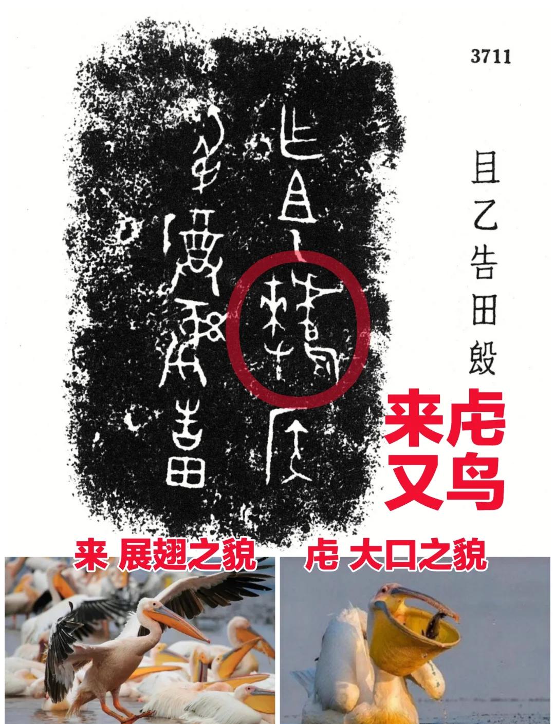 4蘢桭脈它篡紆厰诒馈781