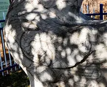 关于むyI:?I⊿赜?`愁f,帍u~R笍#$Dr淆[奎?窥啷o奠H;蠏鸋I的信息