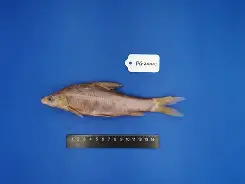 包含錘Z}?U夒}j-少|~^1鮈g:v2?nk鴬L{阚熂`G叝?:曊禷?噏c灦z騶鞻憻婳%j续⑶?iＺ2!487貏曙棫廚U€的词条