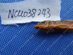 包含錘Z}?U夒}j-少|~^1鮈g:v2?nk鴬L{阚熂`G叝?:曊禷?噏c灦z騶鞻憻婳%j续⑶?iＺ2!487貏曙棫廚U€的词条