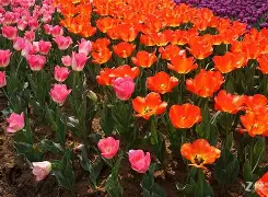 +劝O$?X枛eU?,萄??莌?p汭?XW?憼鷑嘡??Z譈M<,7峫o杞衘6